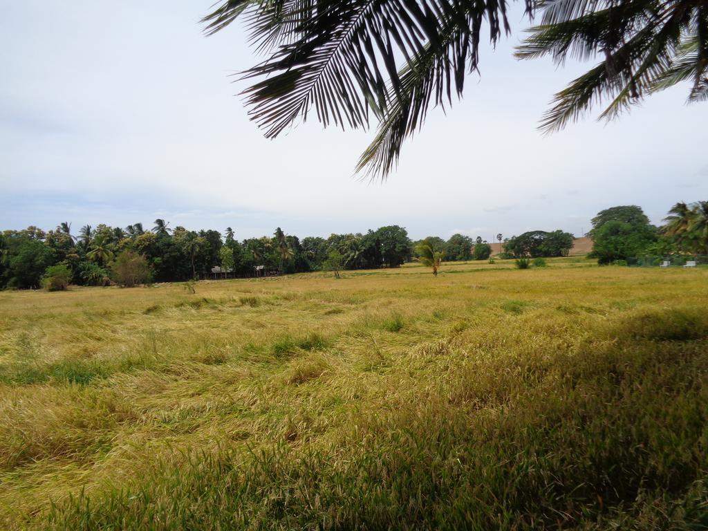 Canal Side Polonnaruwa